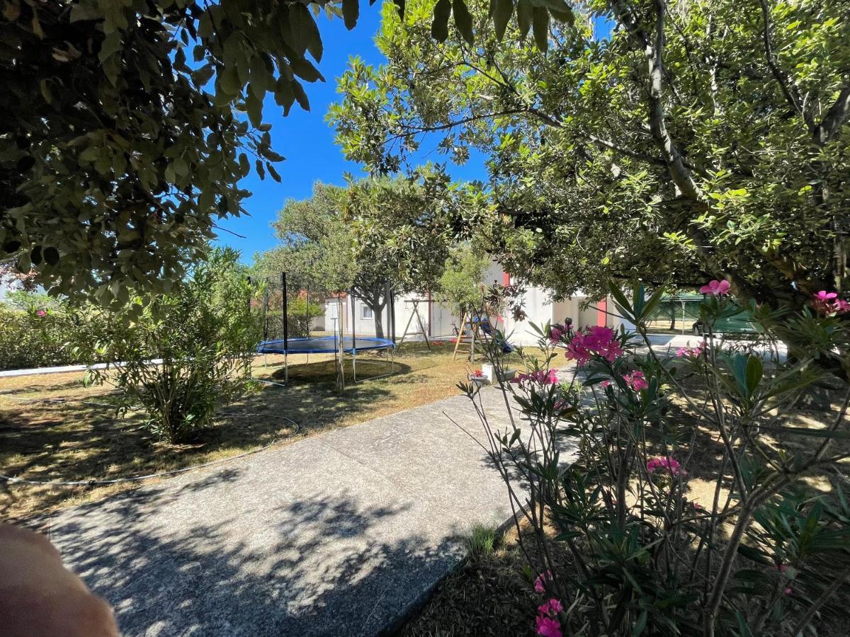 Apartma Ante Apartment Zaton  Exterior photo