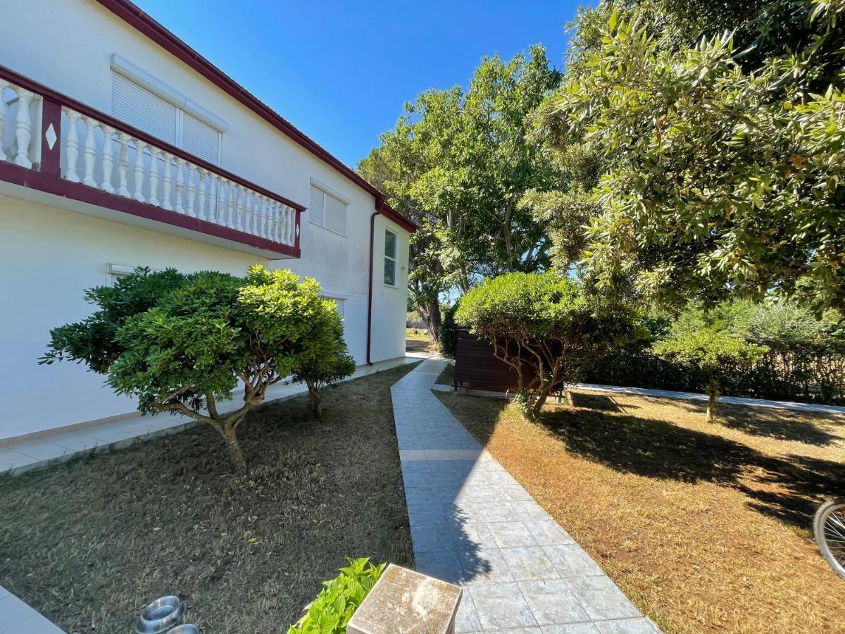 Apartma Ante Apartment Zaton  Exterior photo